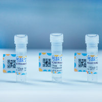 磷酸酶抑制剂混合物，100x，阿拉丁