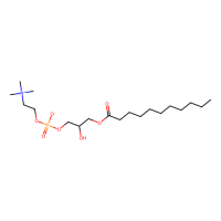1-十一烷酰基-2-羟基-sn-甘油-3-磷酸胆碱，27869-41-6，≥99%，阿拉丁