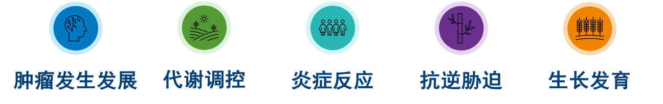 产品细节图片33