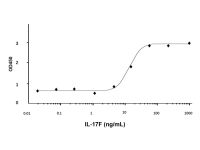 Recombinant Human IL-17F Protein，阿拉丁