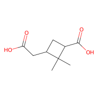 蒎酸，28664-02-0，≥95%, Mixture of Diastereomers，阿拉丁