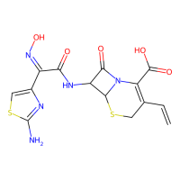 头孢地尼，91832-40-5，Moligand™, 10mM in DMSO，阿拉丁
