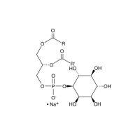 吡唑并[1,5-a]吡啶-2-羧酸，63237-88-7，阿拉丁