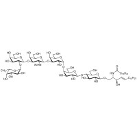 Globo-H神经酰胺，177475-60-4，≥98%(HPLC)，阿拉丁