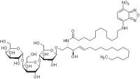 N-十二烷酰基-NBD-神经酰胺三己糖苷,≥98%,阿拉丁
