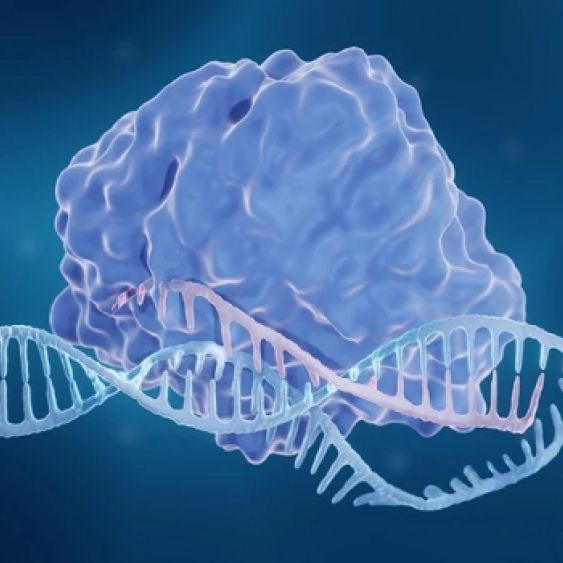 新型表观遗传编辑工具：赋能基因沉默，精准、可逆、开箱即用