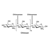 壳聚糖酶,51570-20-8,≥1500(IU/mg),阿拉丁