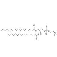 1-硬脂酰基-2-棕榈酰基-sn-甘油-3-磷酸胆碱,59403-53-1,≥99%,阿拉丁