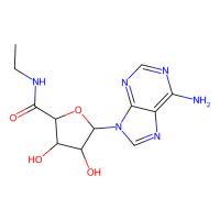 5'-乙基羧酰胺基腺苷，35920-39-9，Moligand™, 10mM in DMSO，阿拉丁