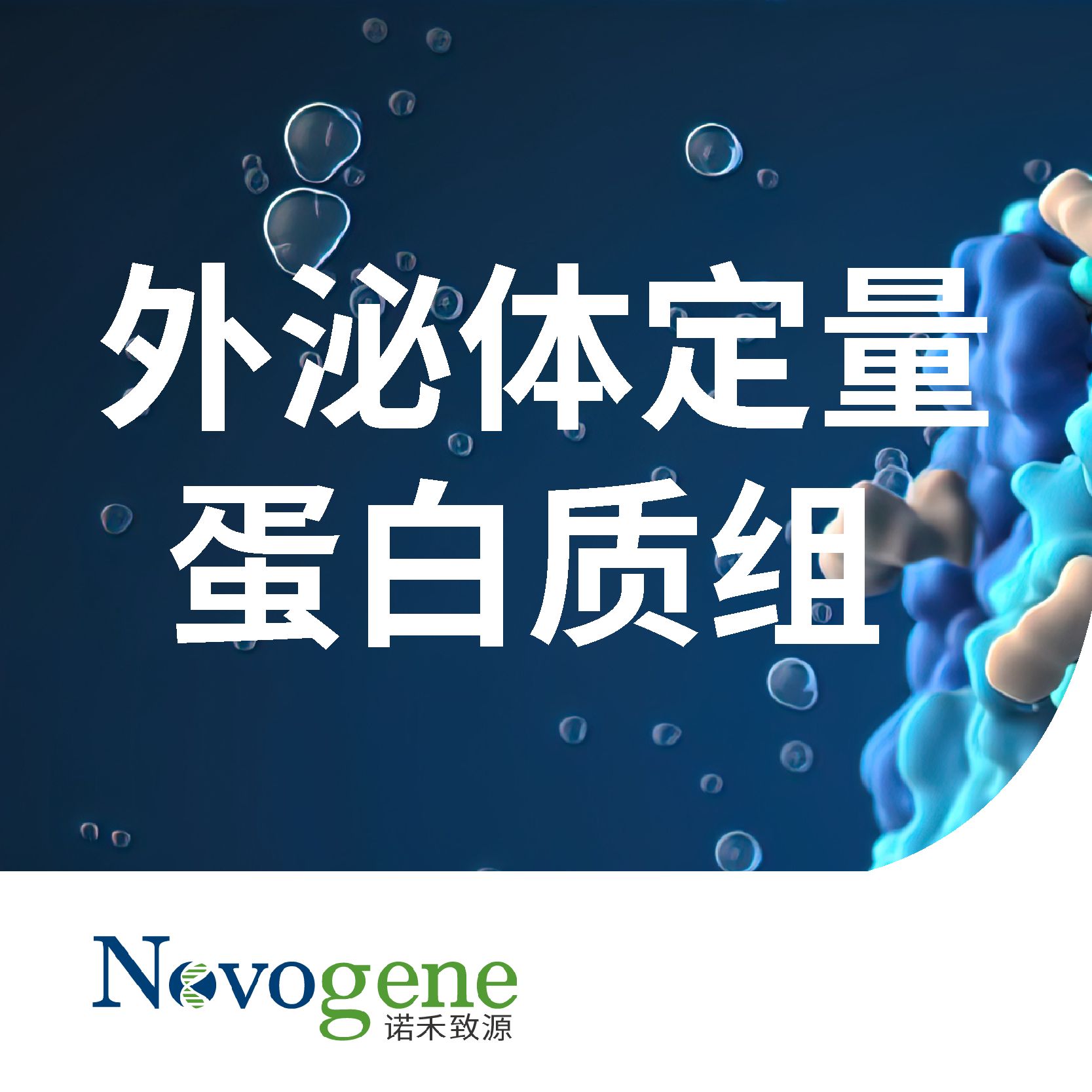 外泌体定量蛋白质组