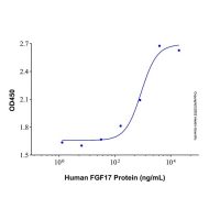 Recombinant Human FGF-17 Protein，ActiBioPure™, 生物活性, Carrier Free, High performance, ≥95%(SDS-PAGE)，阿拉丁