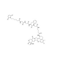 MC-Gly-Gly-Phe-Gly-GABA-Exatecan；≥99%；1599439-52-7；阿拉丁