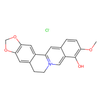 小檗红碱,15401-69-1,≥98%,阿拉丁