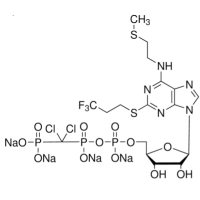 坎格雷洛四钠盐，163706-36-3，≥98%，阿拉丁