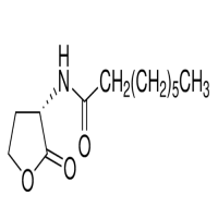 N-辛酰基-L-高丝氨酸内酯，147852-84-4，≥98%，阿拉丁