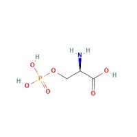 O-磷酸-D-丝氨酸,73913-63-0,≥97%,阿拉丁