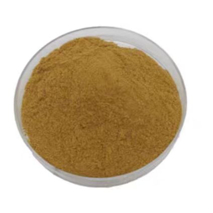 橄榄提取物橄榄苦甙10%~80% 化妆品 饲料原料