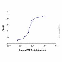 Recombinant Human EGF Protein，ActiBioPure™, 生物活性, 无载体, 高性能, ≥95%(SDS-PAGE)，阿拉丁