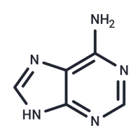 腺嘌呤,73-24-5,用于细胞培养, ≥99%,阿拉丁