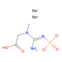 磷酸肌酸二钠盐，922-32-7，10mM in Water，阿拉丁