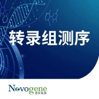 真核无参转录组测序（RNA-seq）