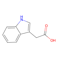 3-吲哚乙酸(IAA);10mM in DMSO;87-51-4;阿拉丁