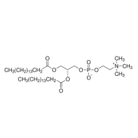 1,2-二棕榈酰-sn-甘油-3-磷酰胆碱,63-89-8,Moligand™, ≥99%,阿拉丁