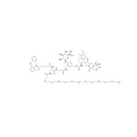 DBCO-β-Glu-PEG12-Exatecan；≥95%；3025107-83-6；阿拉丁