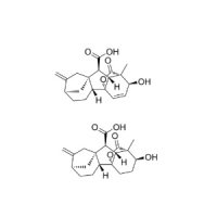 赤霉素A4/A7，8030-53-3，≥95%，阿拉丁