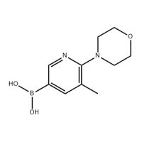 (5-甲基-6-吗啉吡啶-3-基)硼酸,1191062-85-7,≥95%,阿拉丁