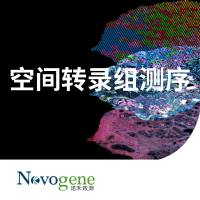 空间转录组测序