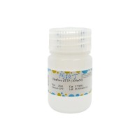 UltraPure dTTP (100mM);BioReagent, 无DNA酶和RNA酶, PCR试剂, 内毒素检测, UltraBio™, 适用于分子生物学, 无菌, for DNA and RNA applications, ≥99%, 100mM;18423-43-3;阿拉丁