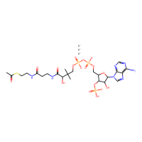 乙酰辅酶A 三锂盐，75520-41-1，85%(酶和吸光度),2%(锂)，阿拉丁