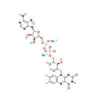 黄素腺嘌呤二核苷酸二钠盐水合物;用于细胞培养, ≥95%;84366-81-4;阿拉丁