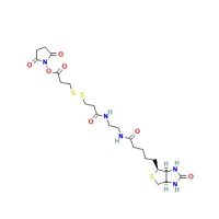 NHS-SS-(+)-Biotin,142439-92-7,≥98%,阿拉丁