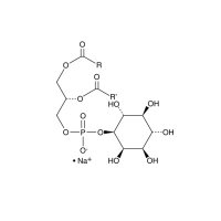 L-α-磷脂酰肌醇(大豆)(钠盐)，383907-36-6，≥98%, A solution in chloroform，阿拉丁