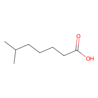 6-甲基庚酸，929-10-2，≥98%，阿拉丁