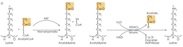 产品细节图片20