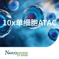 10X 单细胞 ATAC
