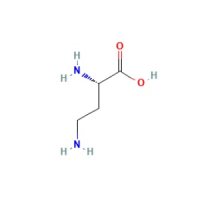 (S)-2,4-二氨基丁酸，1758-80-1，10mM in Water，阿拉丁