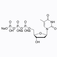 2'-脱氧胸苷5'-三磷酸[dTTP]三钠盐（水溶液），27821-54-1，≥99%, 100 mM，阿拉丁