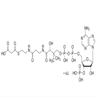 丙二酰辅酶A锂盐，108347-84-8，≥90%(HPLC)，阿拉丁
