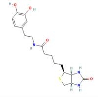 N-生物素多巴胺，241142-94-9，阿拉丁