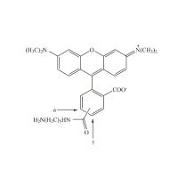 5(6)-TAMRA 尸胺,≥95%,阿拉丁