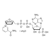 β-烟酰胺腺嘌呤二核苷酸磷酸(NADP)水合物；Moligand™, ≥95%；53-59-8；阿拉丁
