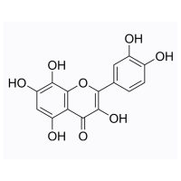 Gossypetin，489-35-0，≥99%，阿拉丁