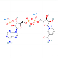 氧化型辅酶II 二钠(β-NADP-Na₂)，24292-60-2，≥97%，阿拉丁