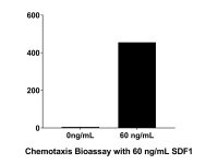 Recombinant Human SDF1 Protein,阿拉丁