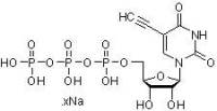 5-乙炔基-UTP（5-EUTP）（水溶液），≥95%(HPLC), ~100 mM in water，阿拉丁