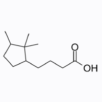 4-(2,2,3-Trimethylcyclopentyl)butanoic Acid;≥98%;957136-80-0;阿拉丁